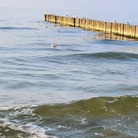 Baltic Sea Gate Porta Mare 55m2 * דז'יבנובק