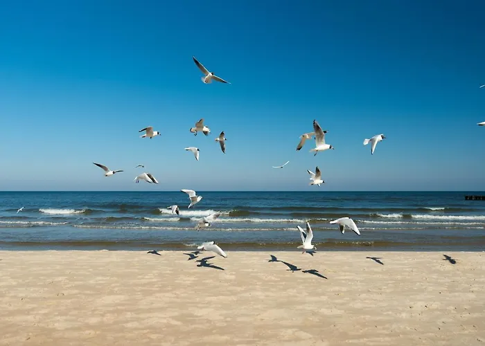 Apartamento Baltic Sea Gate Porta Mare 55m2 Dziwnówek