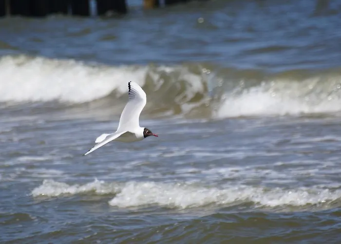 Baltic Sea Gate Porta Mare 55m2 *